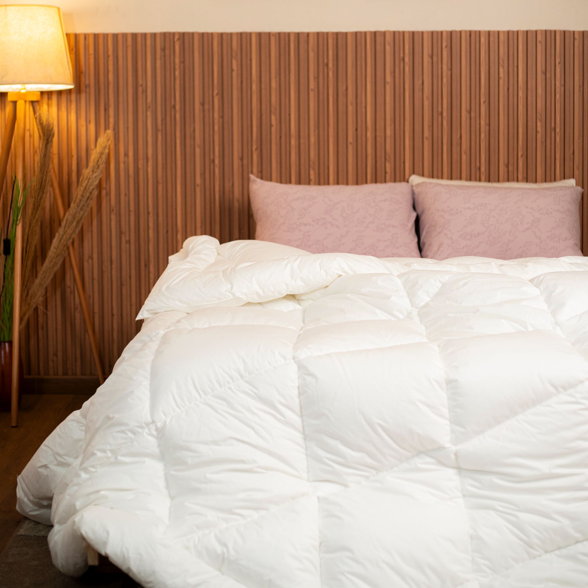 Better Sleep Starts Here