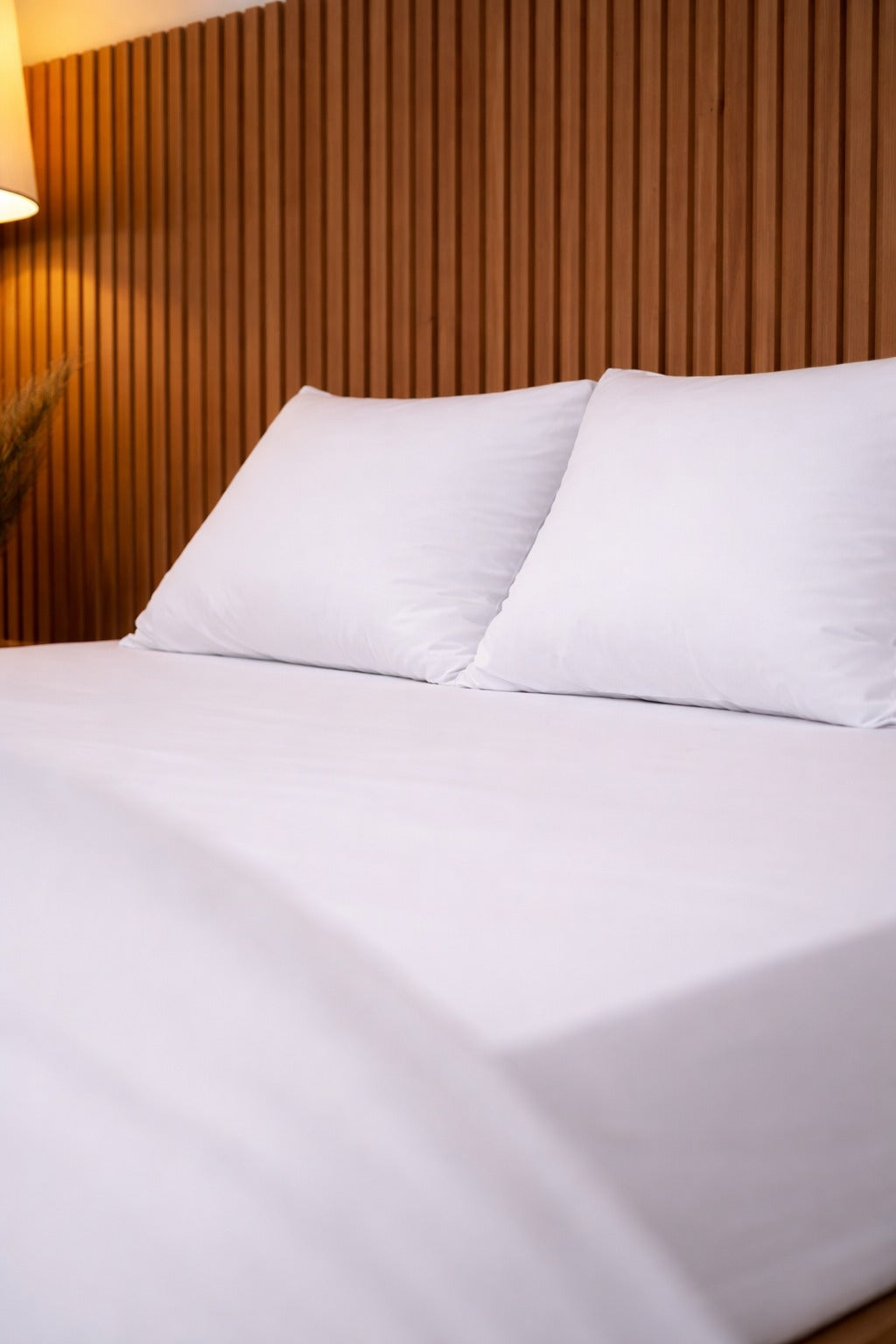 Jersy Fitted Sheet + Pillowcases