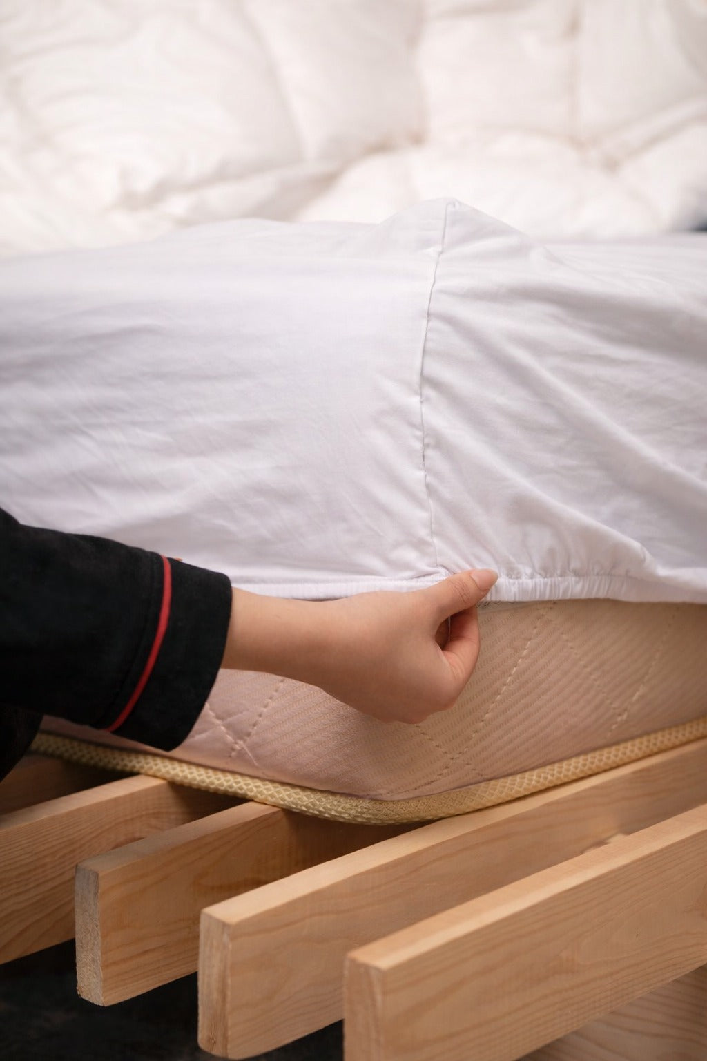 Jersy Fitted Sheet + Pillowcases