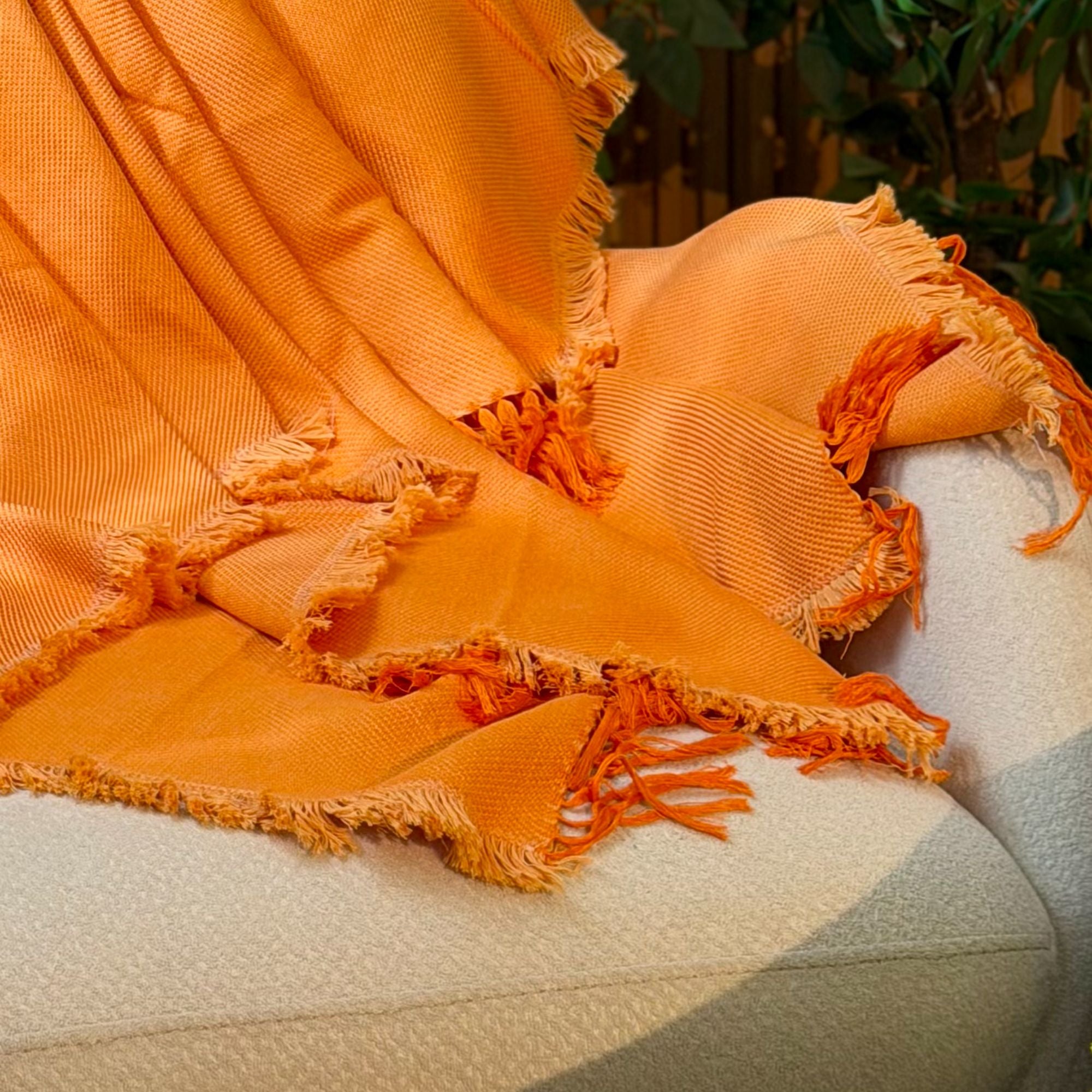 Luxe Cotton Throw Blanket TH13