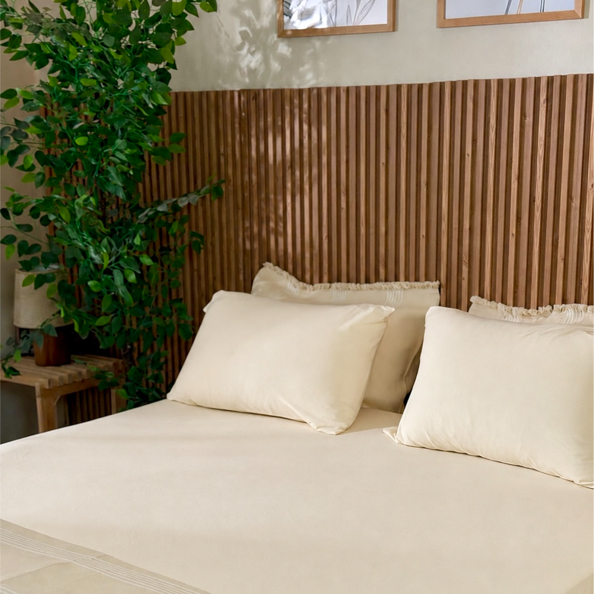 Jersy Fitted Sheet + Pillowcases