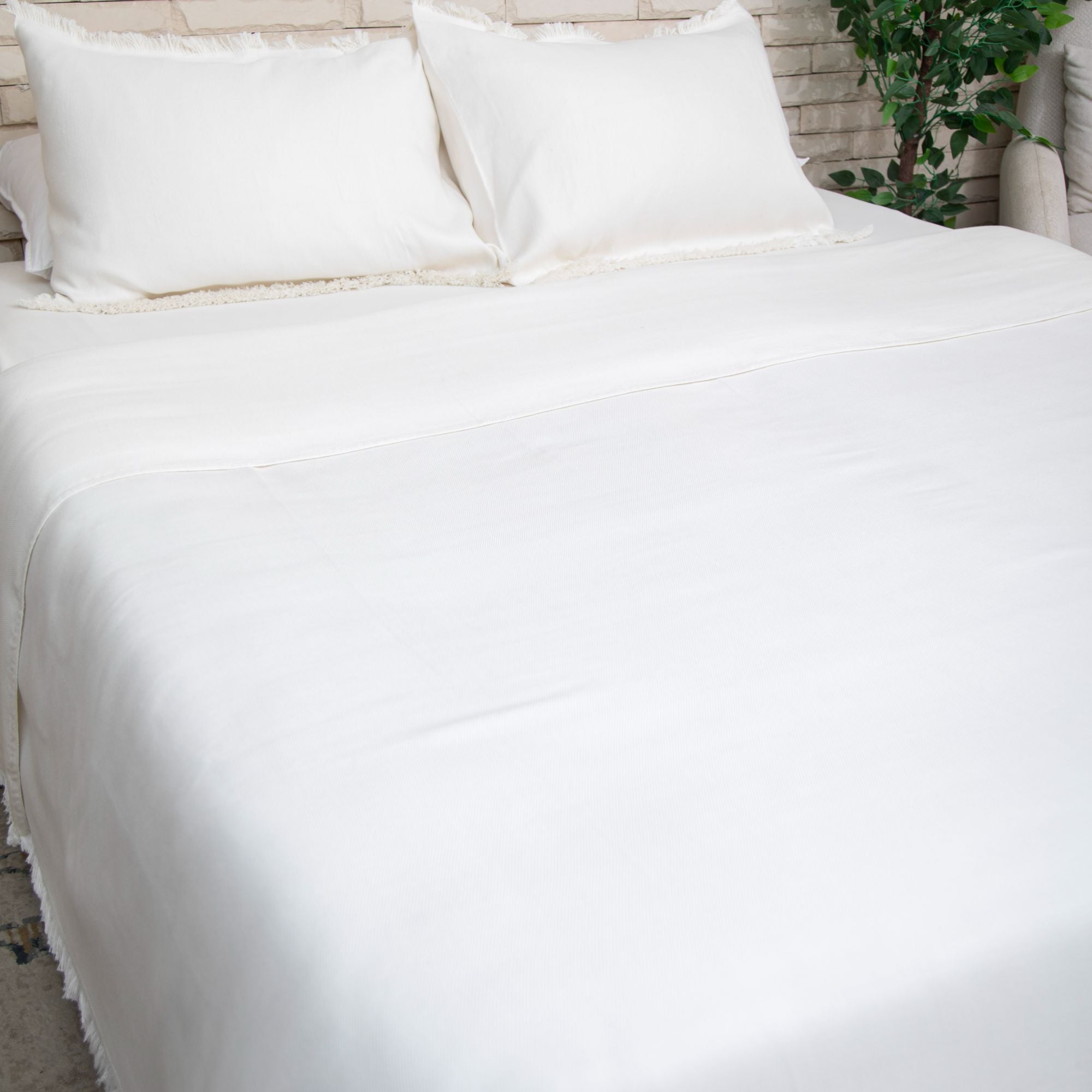 كوفرتة طاجي قطن مصري 100% سنجل SN5